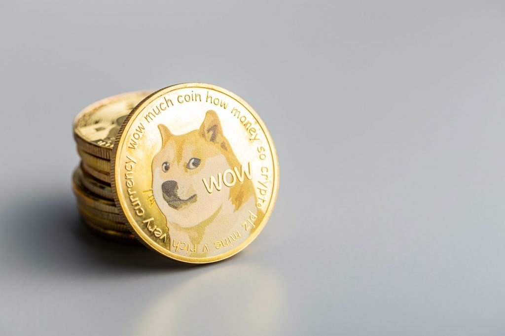 Dogecoineja
